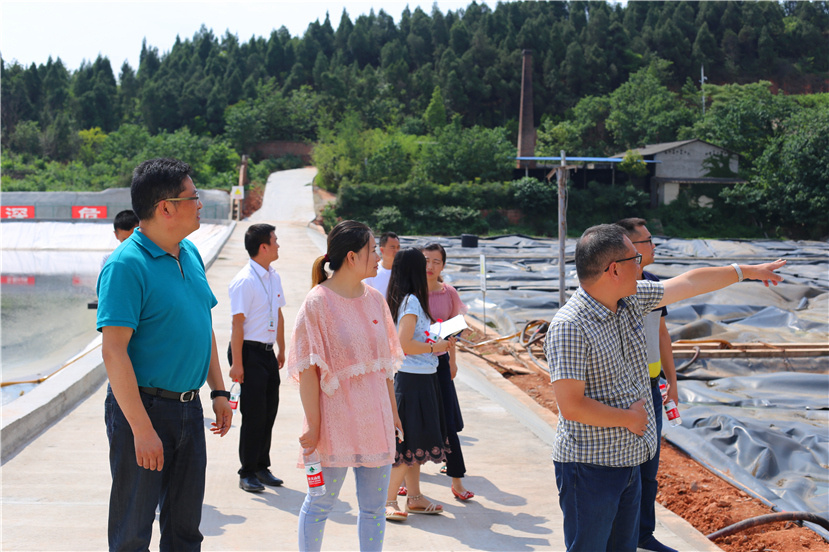 集團(tuán)第一檢查組檢查杰陽(yáng)排水公司、固廢處置公司安全防汛和環(huán)保達(dá)標(biāo)各項(xiàng)工作3_副本